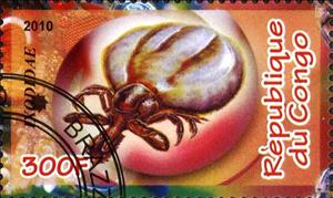 Stamp, Ixodidae, Cinderellas,  , Insects