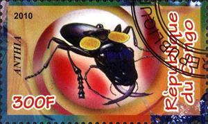 Stamp, Anthia, Cinderellas,  , Insects