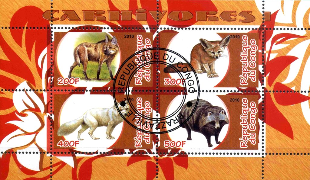 Carhivores I
