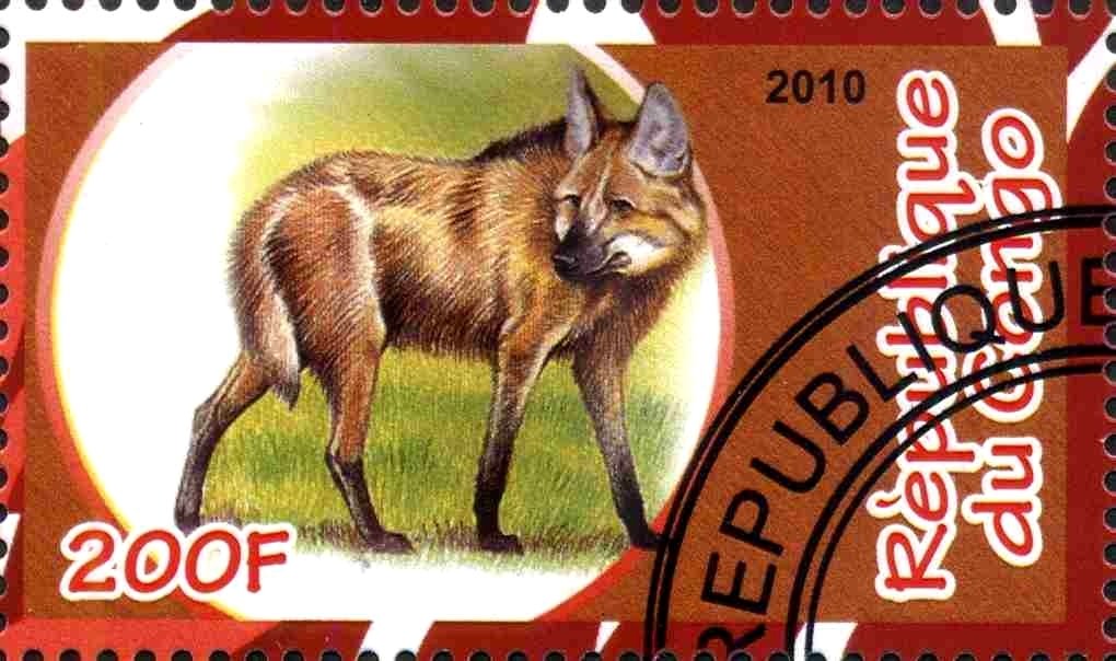 Fauna