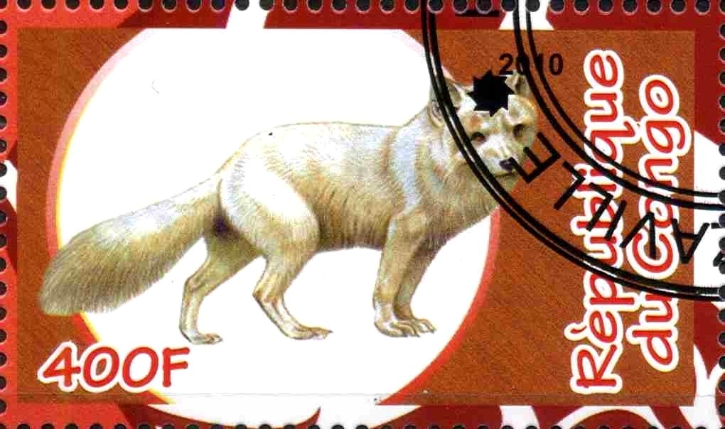 Fauna