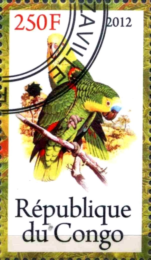 Parrots