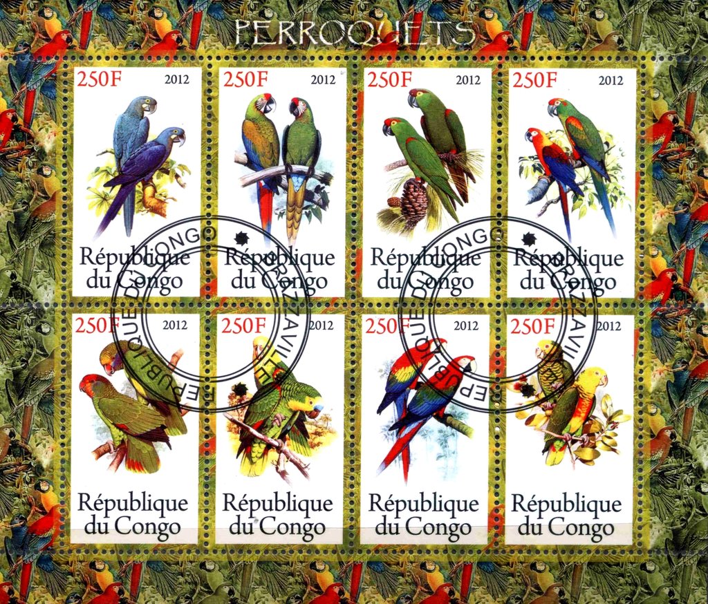 Perroquets