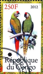 Stamp, Parrots, Cinderellas,  , Birds