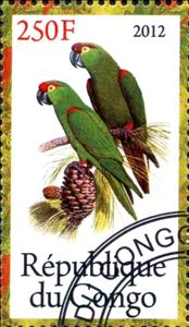 Stamp, Parrots, Cinderellas,  , Birds