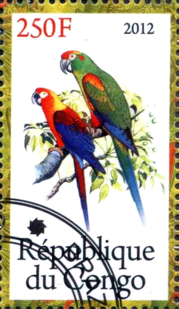 Parrots
