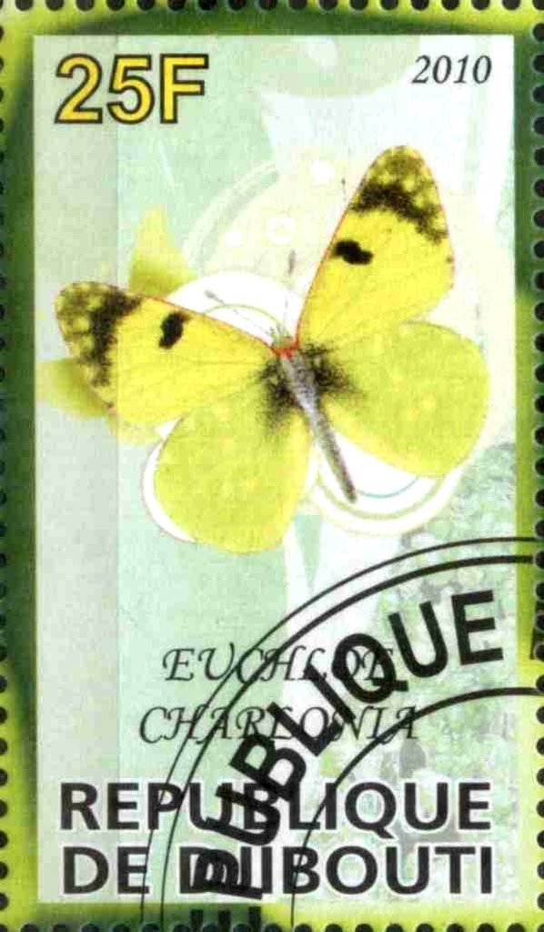 Euchloe Charlonia