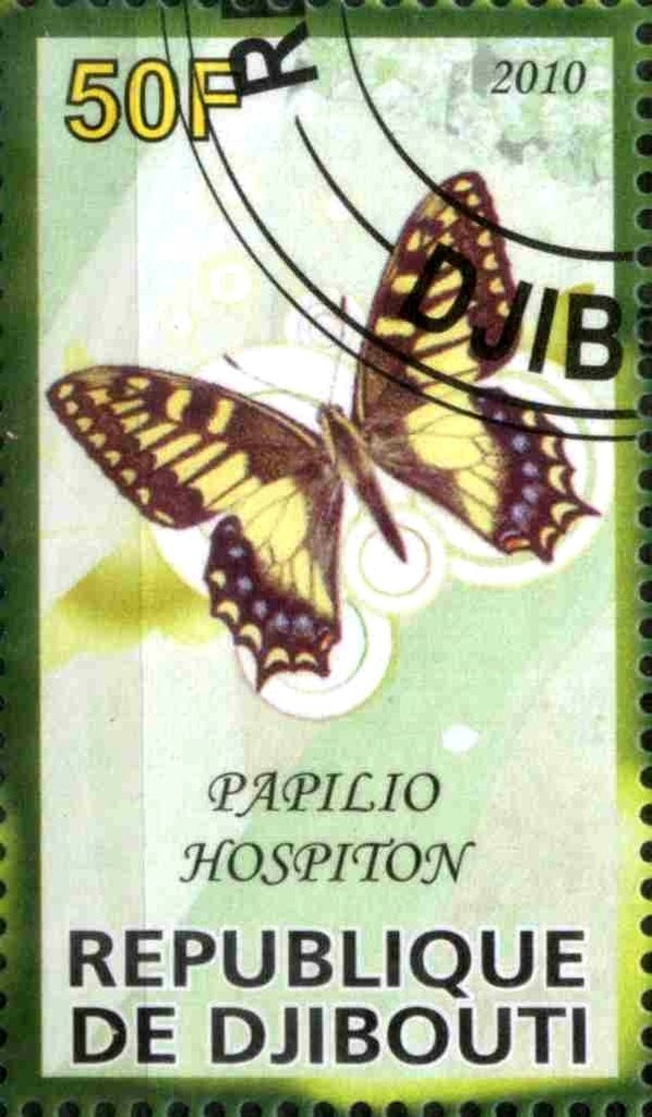 Papilio Hospiton