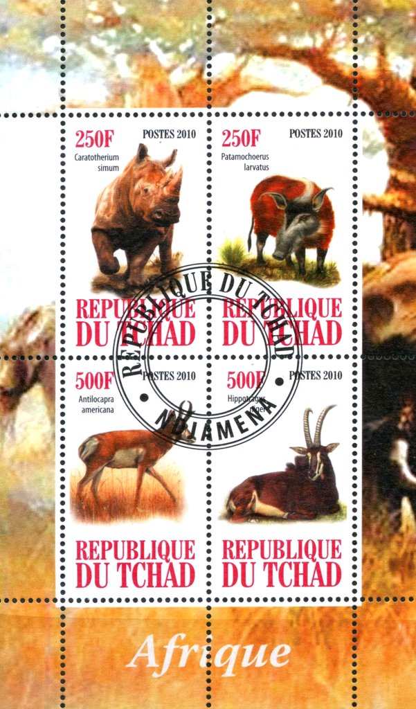 Afrique fauna
