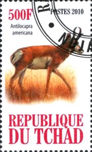 Stamp, Pronghorn (Antilocapra americana), Cinderellas,  