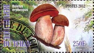 Stamp, Boletus erythtopus, Cinderellas,  , Mushrooms