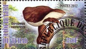 Stamp, Gyroporus castaneus, Cinderellas,  , Mushrooms
