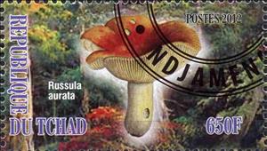 Stamp, Russula aurata, Cinderellas,  , Mushrooms
