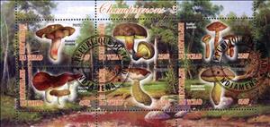 Mini Sheet, Champignons 3, Cinderellas,  , Mushrooms