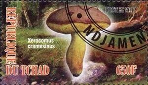 Stamp, Xerocomus cramesinus, Cinderellas,  , Mushrooms