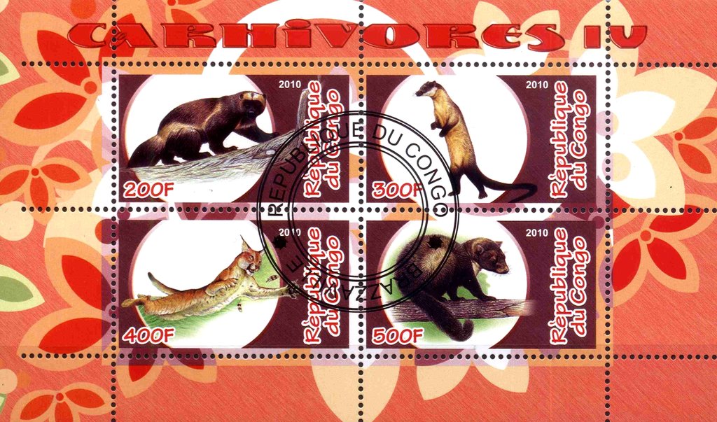 Carhivores IV