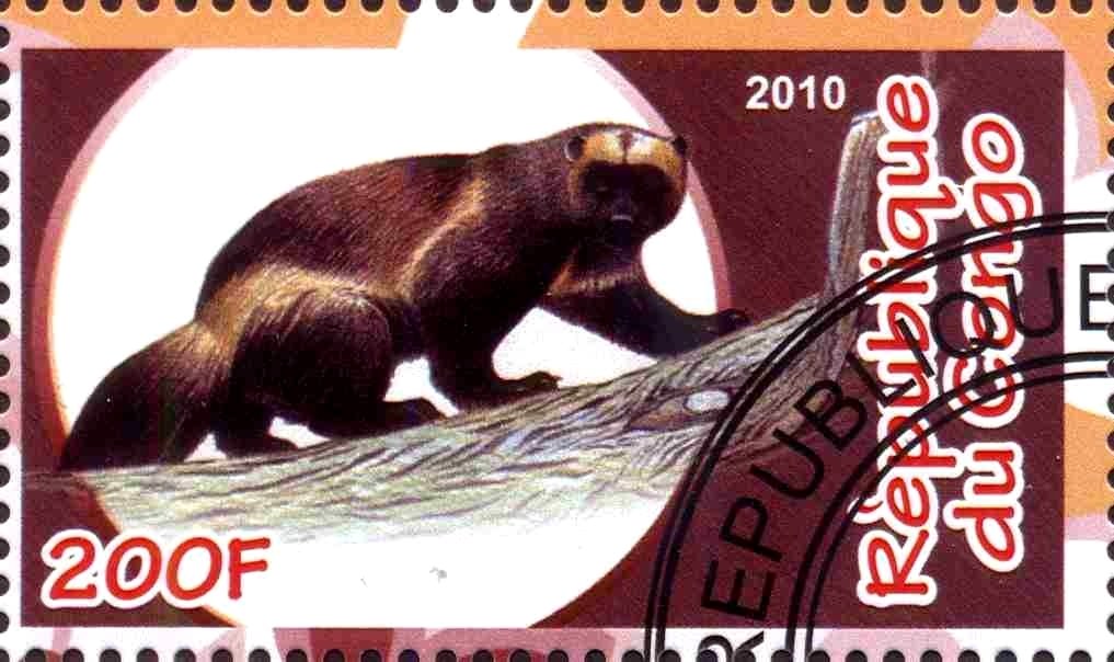 Fauna