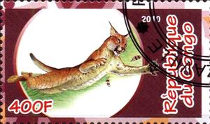 Stamp, Fauna, Cinderellas,  