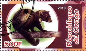 Stamp, Fauna, Cinderellas,  