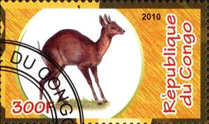 Stamp, Fauna, Cinderellas,  