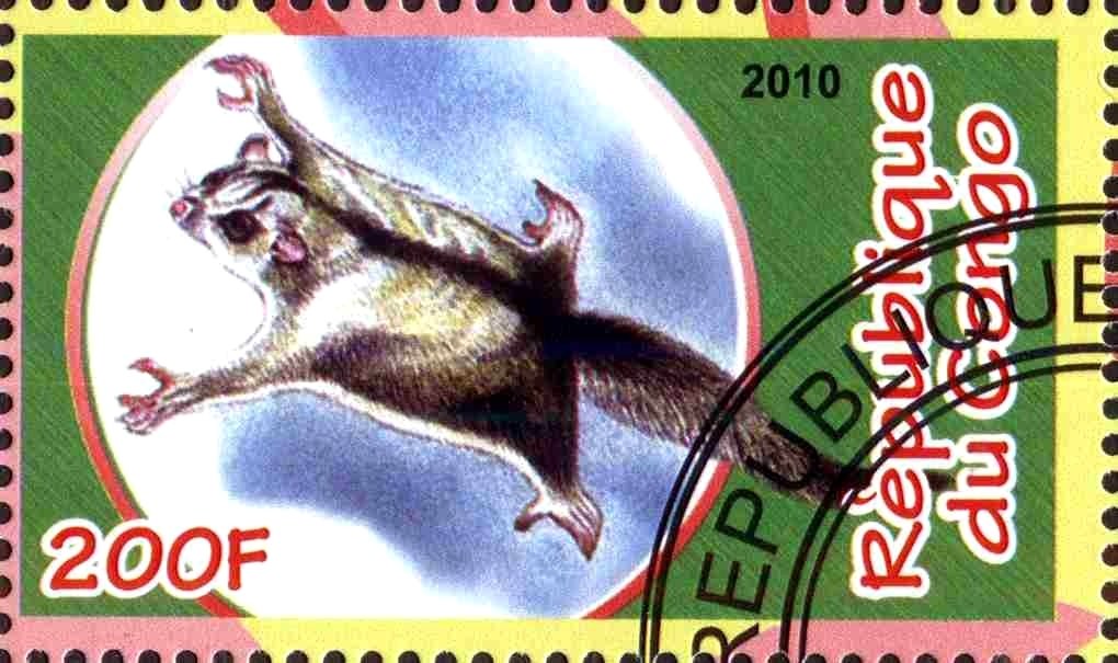 Fauna