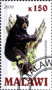 Stamp, Ursus americanus, Cinderellas,  , Bears