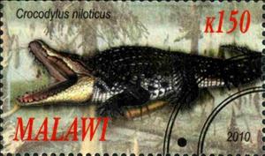 Stamp, Crocodylus niloticus, Cinderellas,  , Animals (Fauna), Crocodiles