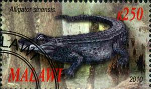 Stamp, Alligator sinensis, Cinderellas,  , Animals (Fauna), Crocodiles