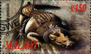 Stamp, Crocodylus porosus, Cinderellas,  , Animals (Fauna), Crocodiles