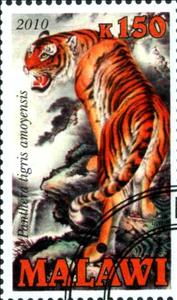 Stamp, Panthera tigris amoyensis, Cinderellas,  , Animals (Fauna), Cats of Prey, Tigers