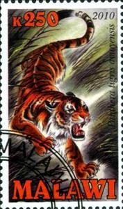 Stamp, Panthera tigris amoyensis, Cinderellas,  , Animals (Fauna), Cats of Prey, Tigers
