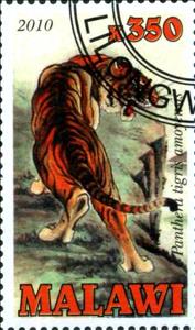 Stamp, Panthera tigris amoyensis, Cinderellas,  , Animals (Fauna), Cats of Prey, Tigers