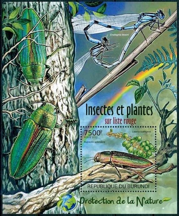 Insects & Plants of Red List