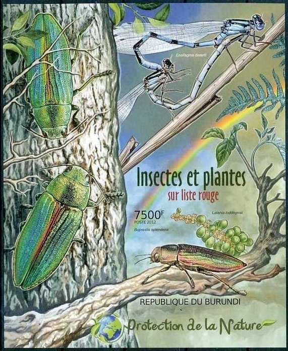 Insects & Plants of Red List