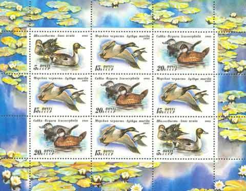 Ducks - MiNo. 6210-12