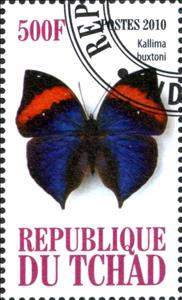 Stamp, Kallima buxtoni, Cinderellas,  , Butterflies, Insects