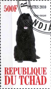 Stamp, Terre-neuve, Cinderellas,  , Dogs