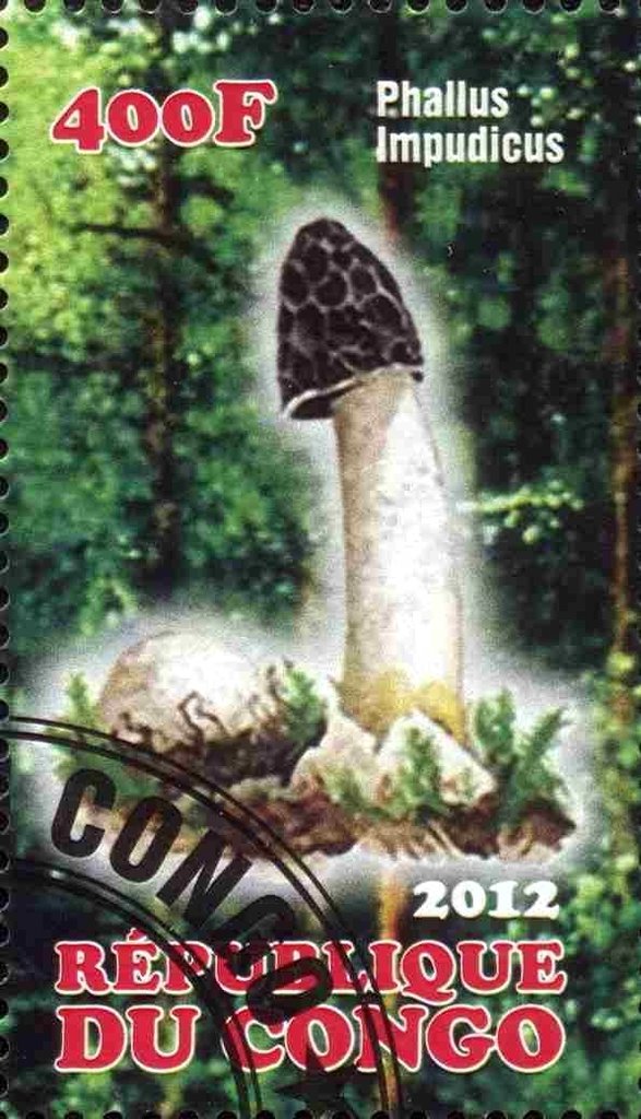 Mushrooms