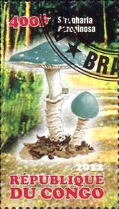 Stamp, Mushrooms, Cinderellas,  , Mushrooms