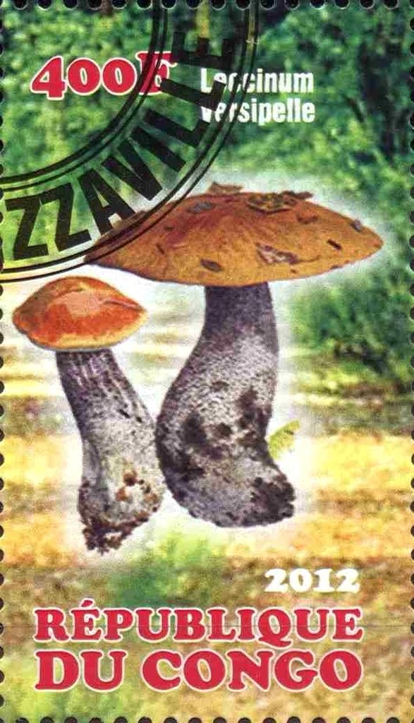 Mushrooms