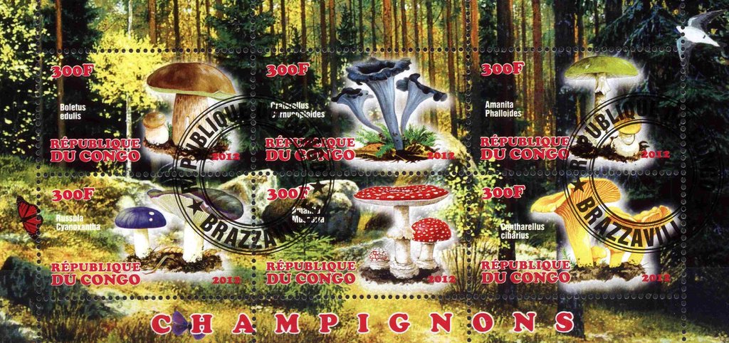 Champignons