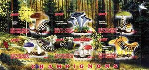 Mini Sheet, Champignons, Cinderellas,  , Mushrooms