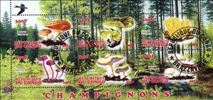 Mini Sheet, Champignons, Cinderellas,  , Mushrooms