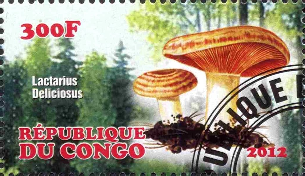 Lactarius deliciosus