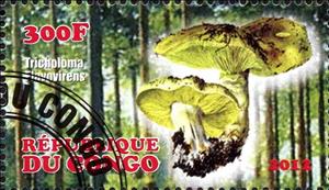 Stamp, Tricholoma flavovirens, Cinderellas,  , Mushrooms