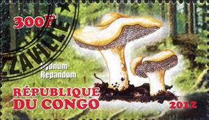 Stamp, Hydnum repandum, Cinderellas,  , Mushrooms