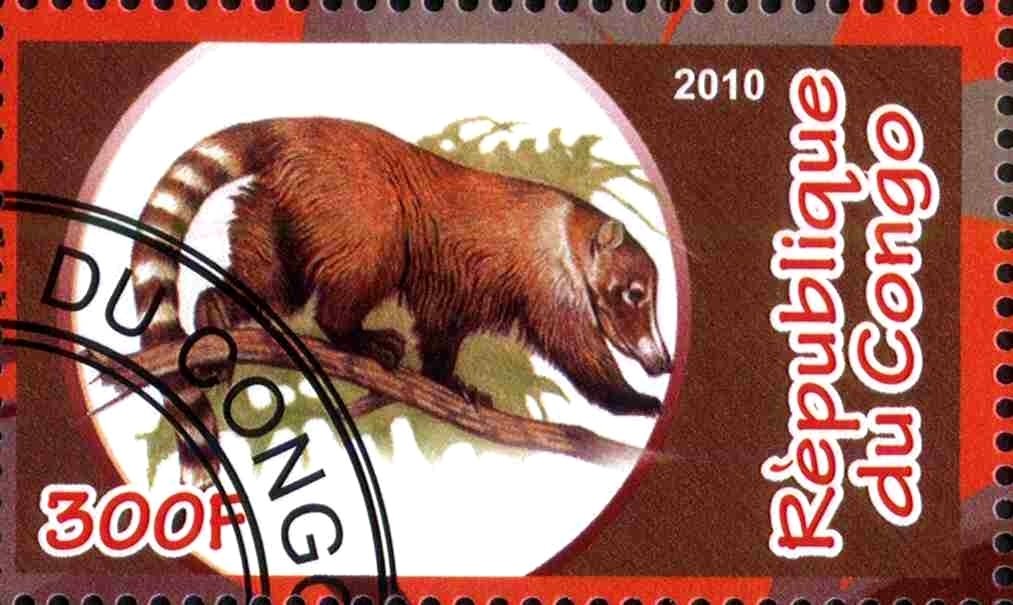 Fauna