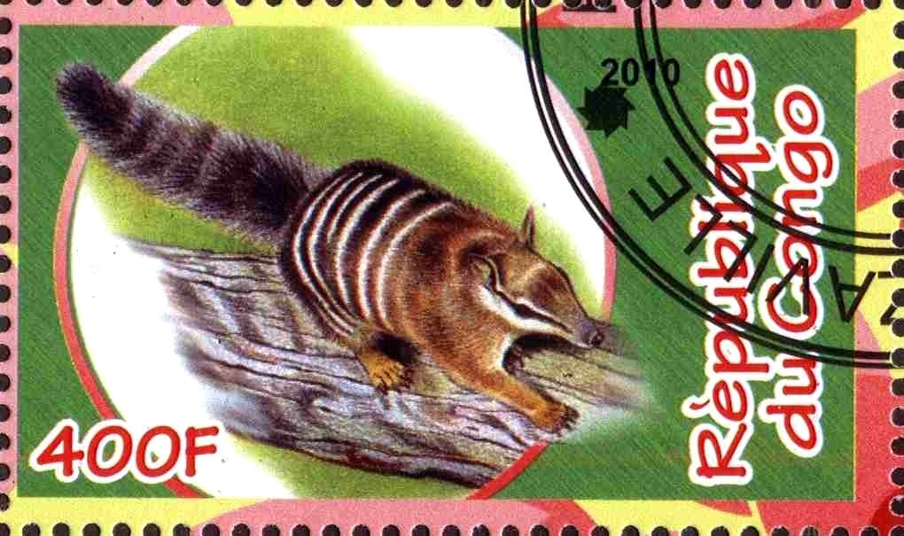 Fauna