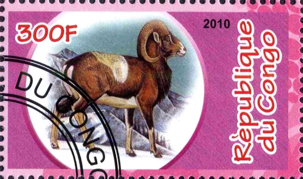 Fauna