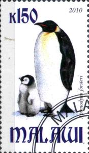 Stamp, Aptenodytes forsteri, Cinderellas,  , Animals (Fauna), Birds, Penguins